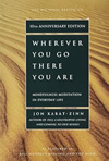 Jon Kabat-Zinn | Wherever You Go, There Your Are
